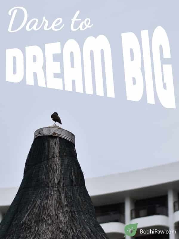 Dare to Dream Big