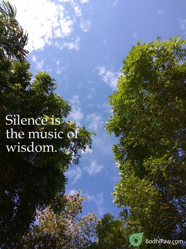 Silence is the music of wisdom