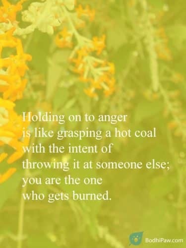 Holding on to anger is like grasping a hot coal - inspirational buddha