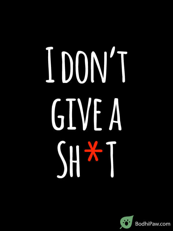 I don't give a sh*t - funny humorous inspirational quote