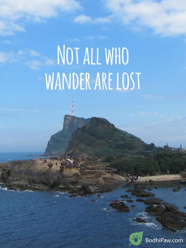 Not all who wander are lost - motivational quote inspirational Lord of The Ring J.R.R Tolkien Quote