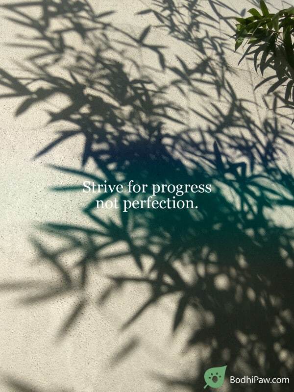 strive for progress not perfection