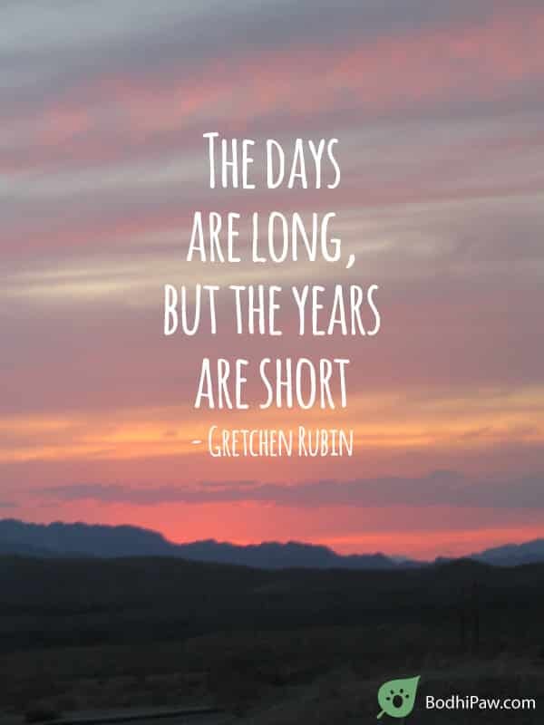 The days are long but the years are short - inspirational quote about parenting - gretchen rubin