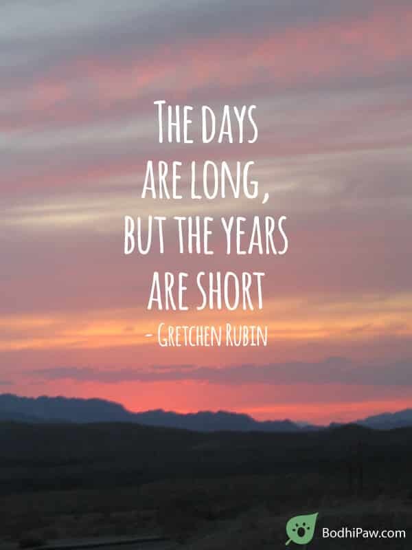 The Days Are Long, But The Years Are Short - Parenting Quote - Bodhi