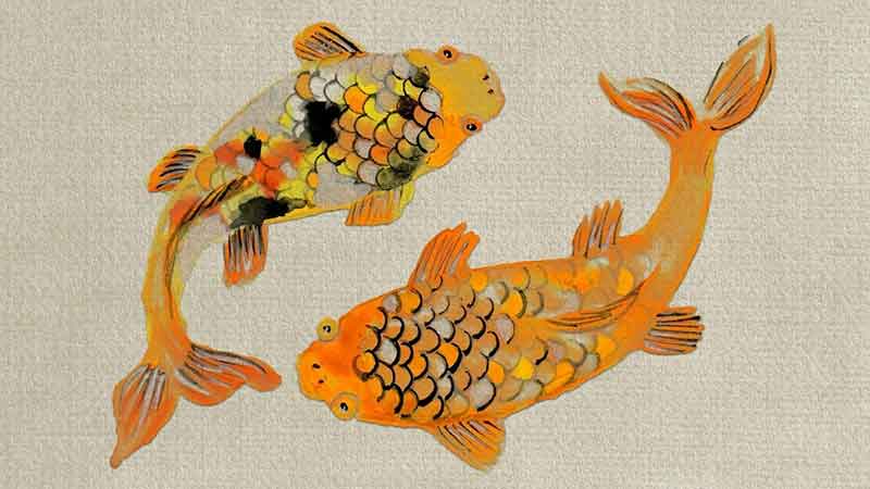 two koi fish symbolizing pisces